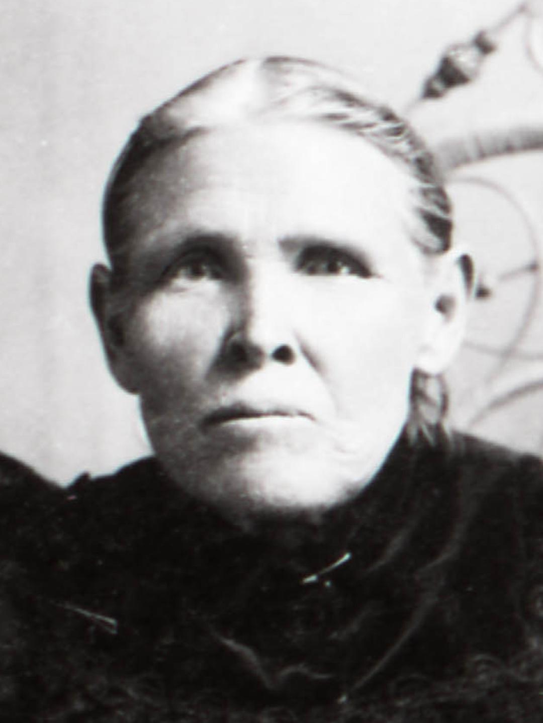 Ellen Adams (1848 - 1932) Profile